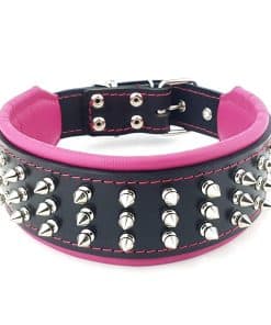Collar de cuero auténtico gigante Bestia Silver Studded