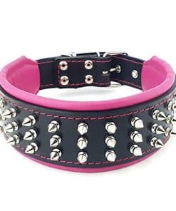 Collar para Perro Bestia Silver Giant de Cuero Genuino con