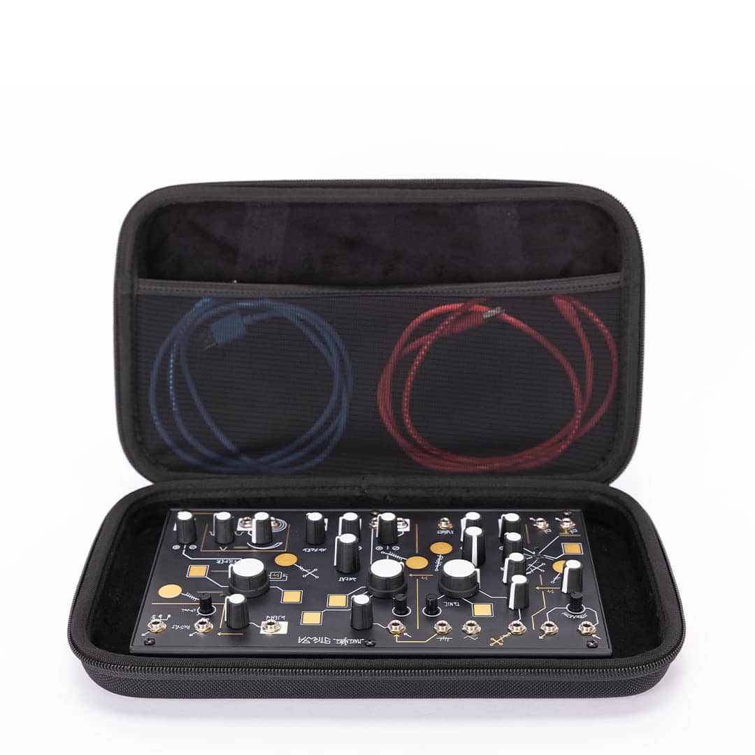 Estuche ANALOG CASES para Make Noise 0-Coast/Strega/Moog