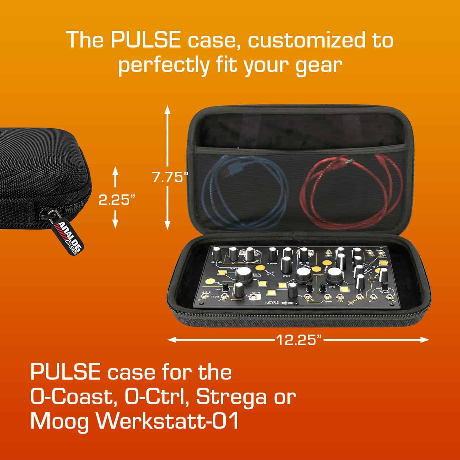 Estuche ANALOG CASES para Make Noise 0-Coast/Strega/Moog - Imagen 6