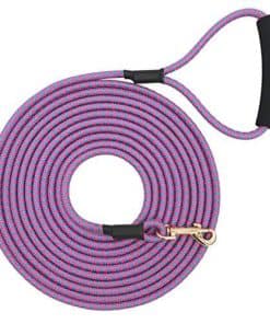 Correa de nylon resistente para perros Shorven con mango