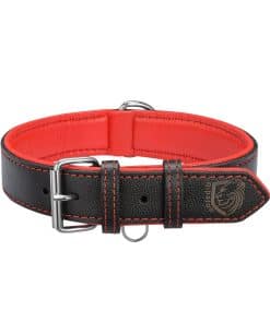 Collar Ajustable de Cuero Genuino Acolchado para Perro de