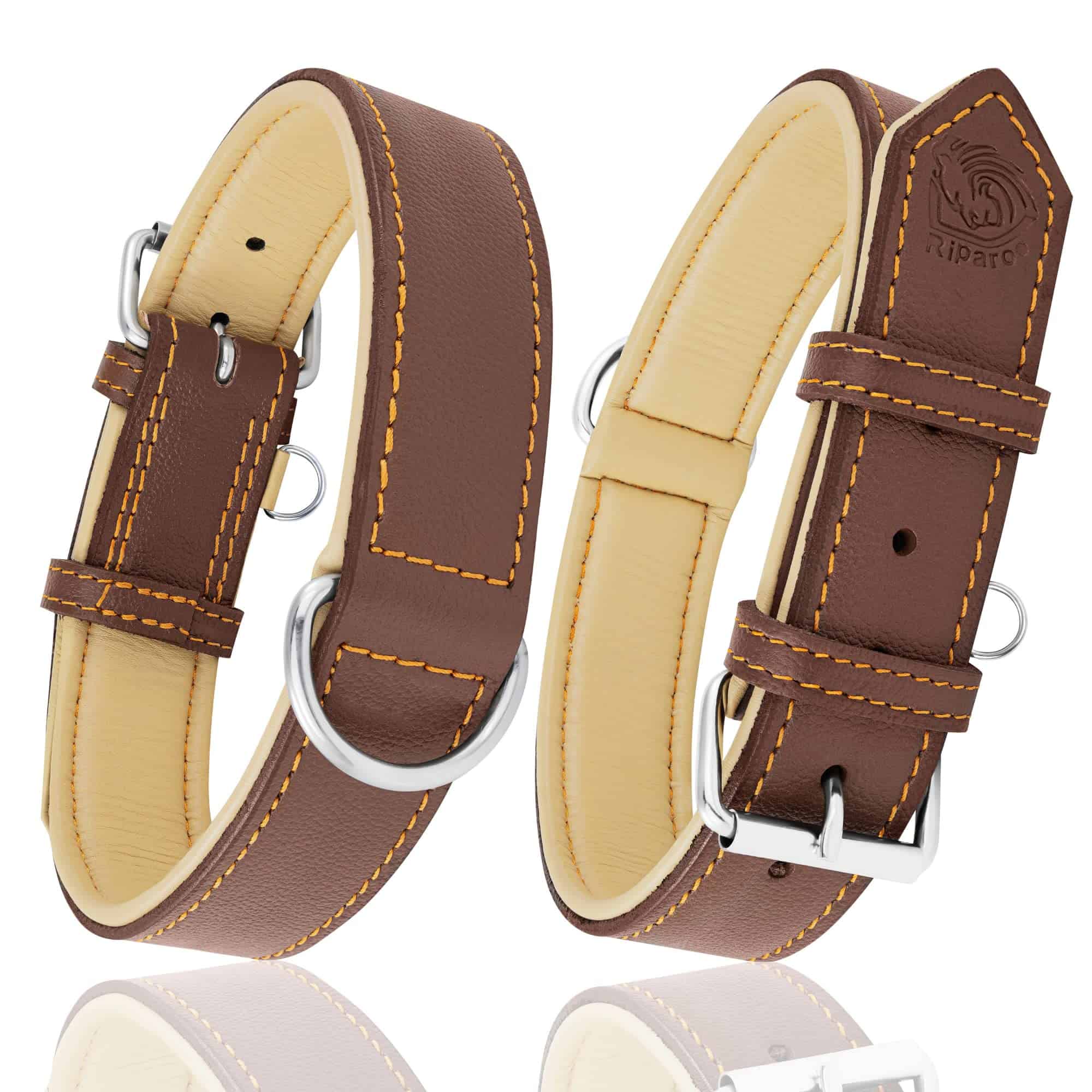 Collar Ajustable de Cuero Genuino Acolchado para Perros de - Imagen 9