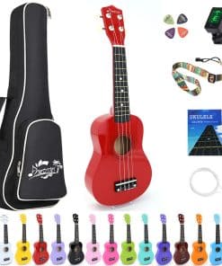 Ukulele Soprano Amdini de 21 pulgadas, Guitarra Mini