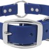 Collar de Perro Impermeable Azul Pequeño de Regal Dog