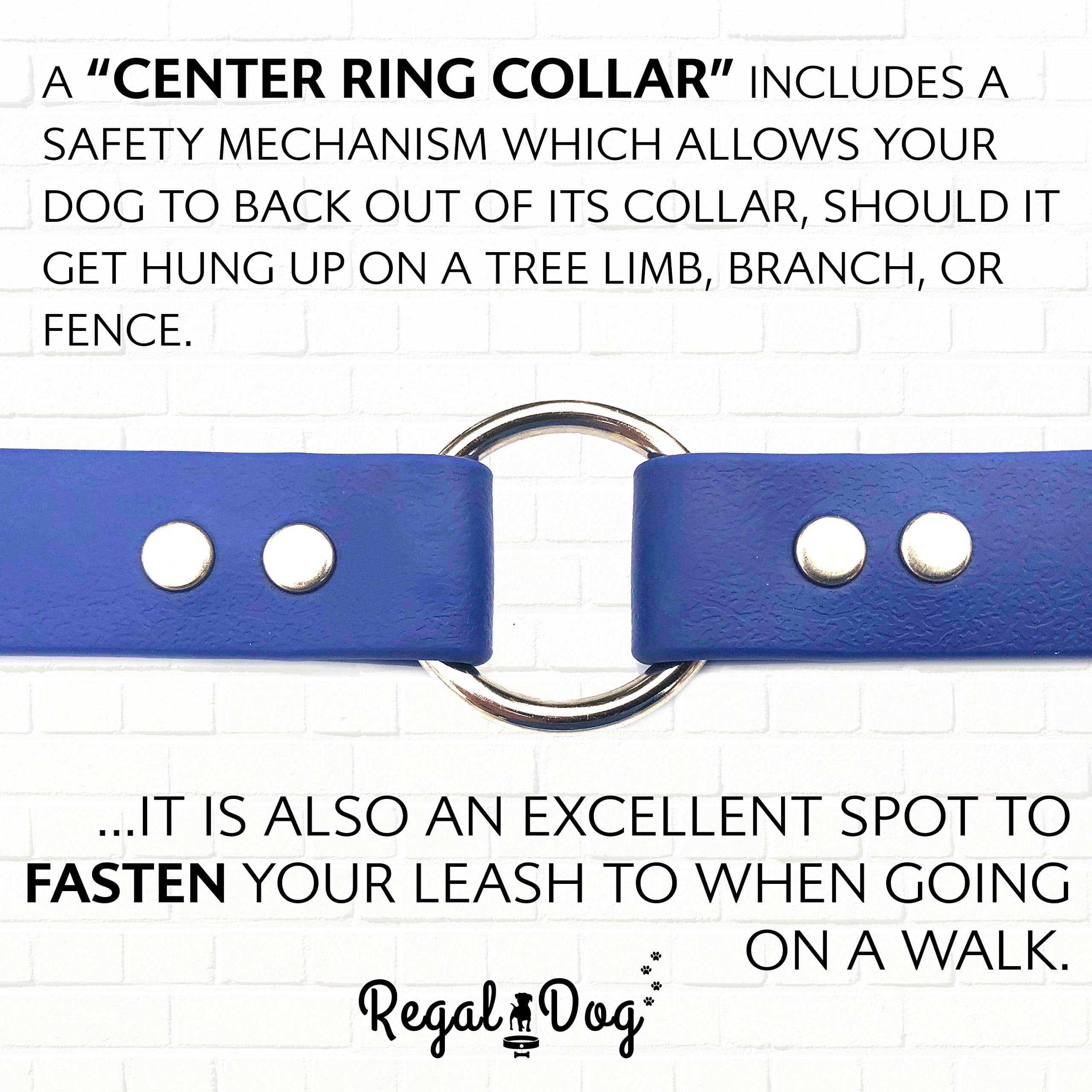 Set de Collar y Correa Azul Impermeable para Perros Grandes - Imagen 6