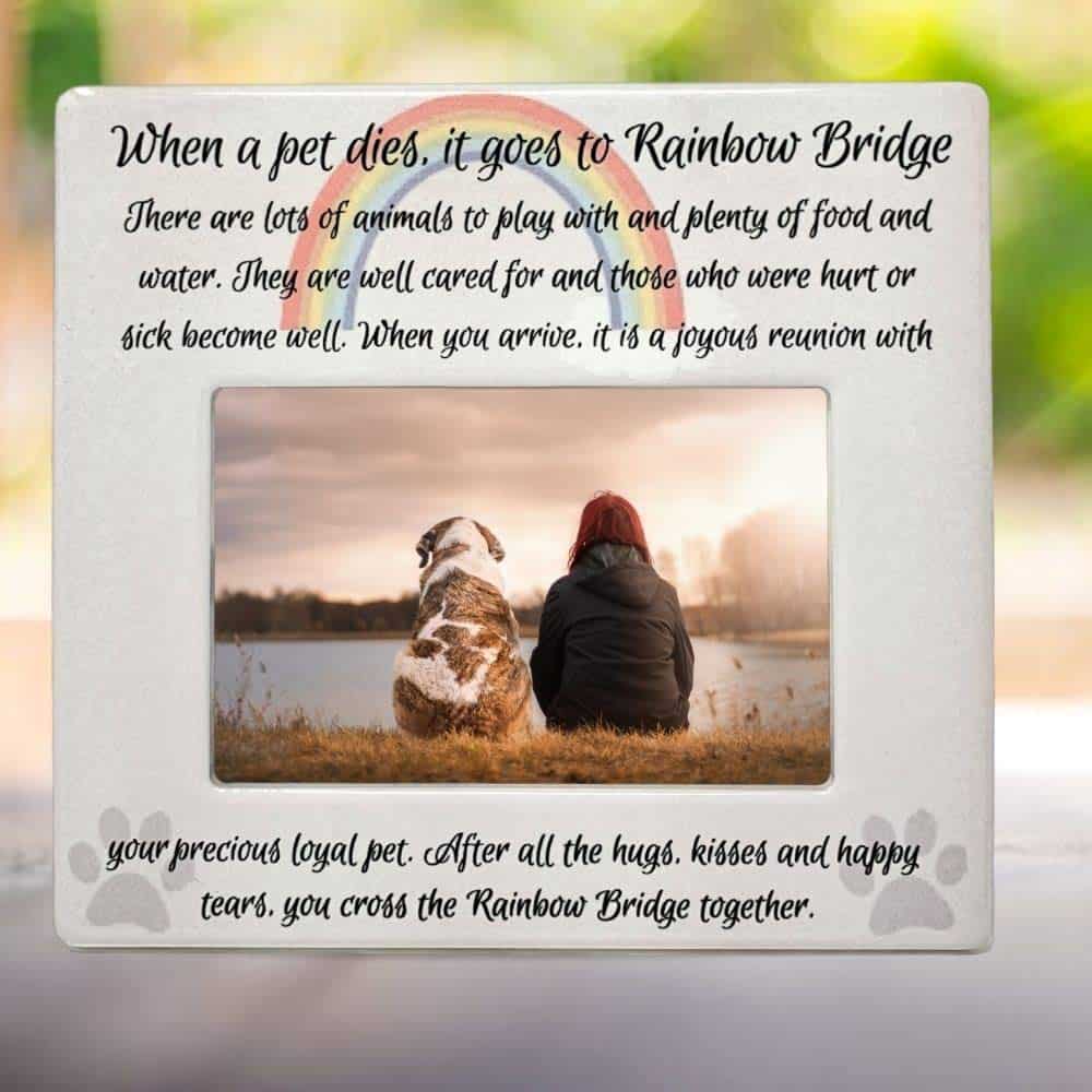 Marco de Fotos de Mascota Pet Memorial - Puente del - Imagen 8