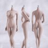 TBLeague 1/6 Figuras de Acción Femeninas sin