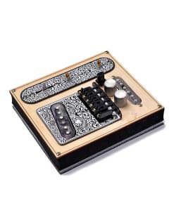 Swhmc 6 Cuerdas Puente Plato de Montaje Interruptor de 3