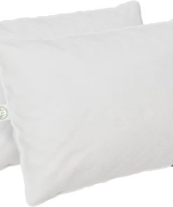 Juego de 2 Almohadas Estándar de East Coast Bedding -