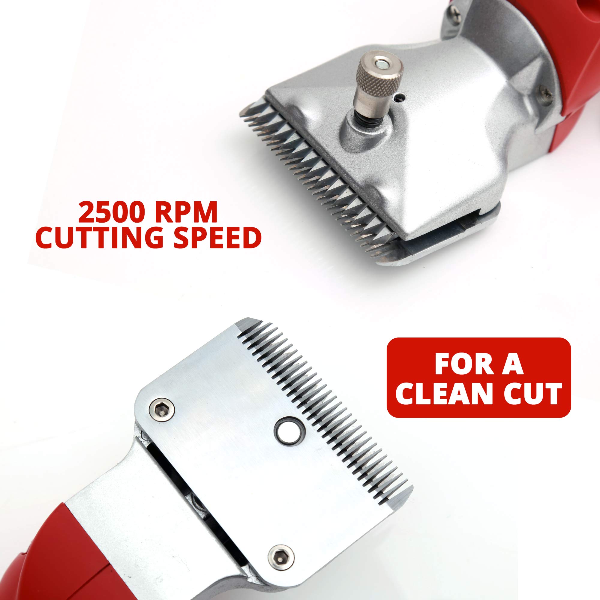 Cortadora LANATI sin Cable para Recorte/Aseo/Ajuste sin - Imagen 6