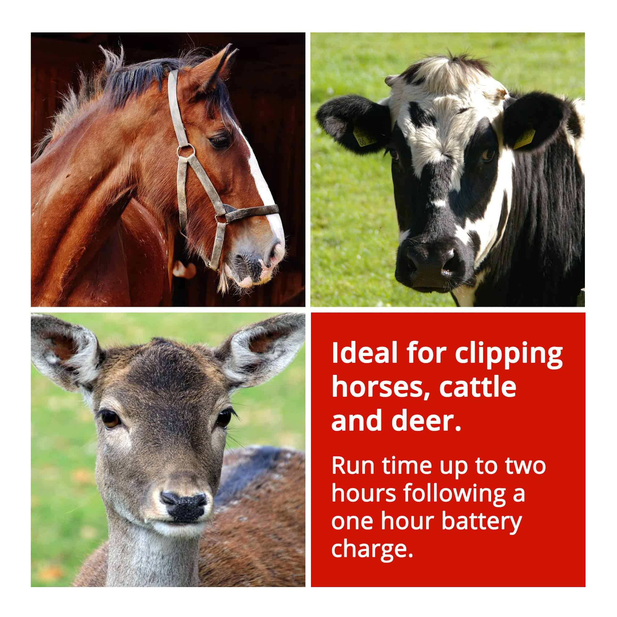 Cortadora LANATI sin Cable para Recorte/Aseo/Ajuste sin - Imagen 4