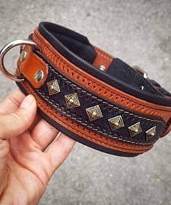 Collar de perro de cuero marrón y tachuelas 'Balteus' de