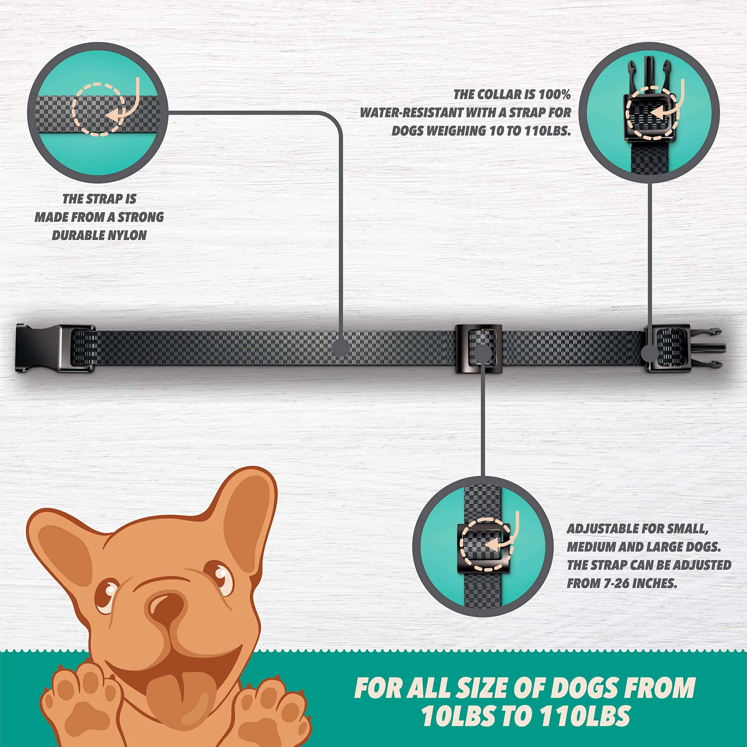 Collar de entrenamiento para perros Ruff 'n Ruffus - Imagen 8