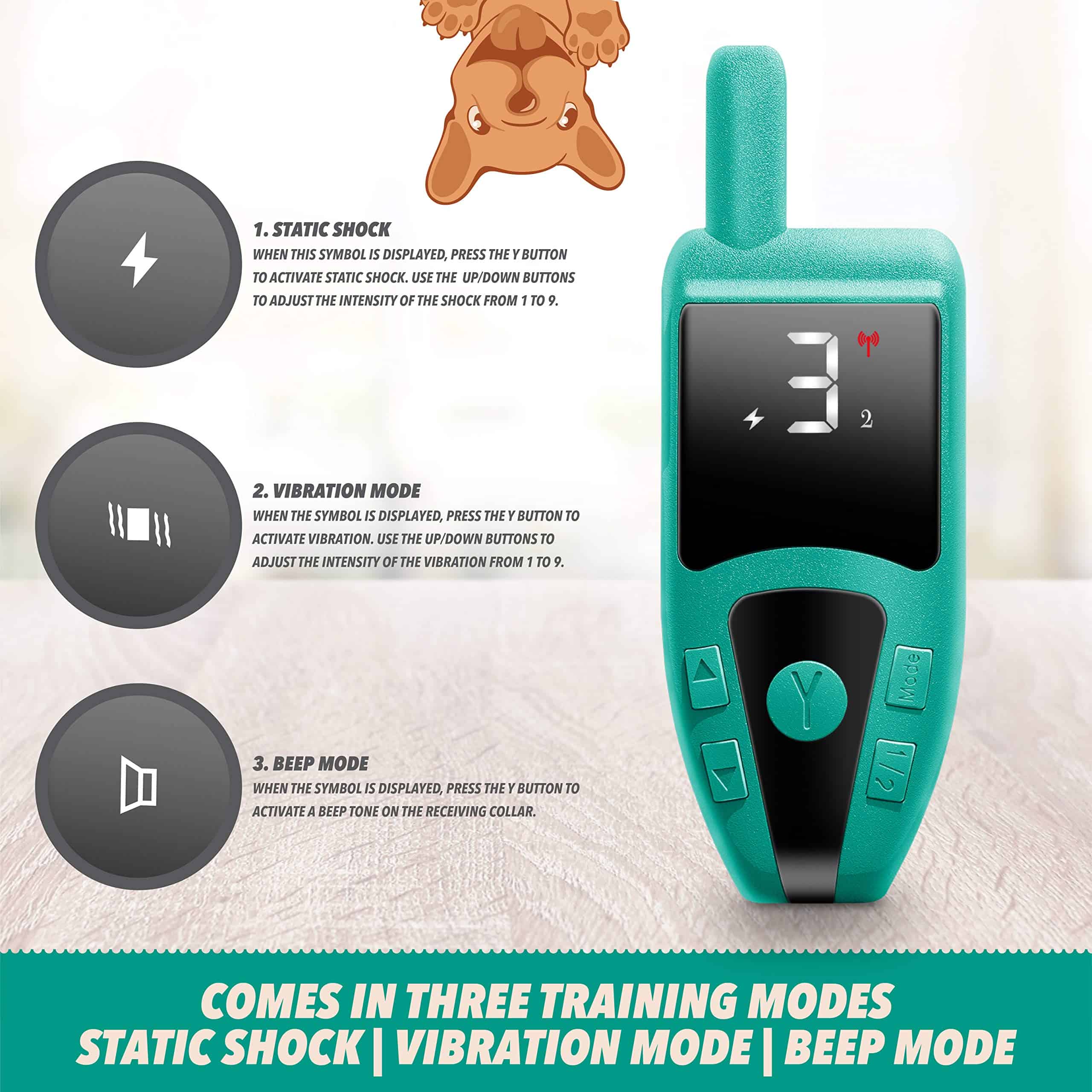 Collar de entrenamiento para perros Ruff 'n Ruffus - Imagen 5