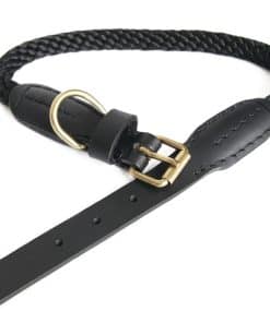 Collar de Perro de Cuerda y Cuero Alvalley con Hebilla -