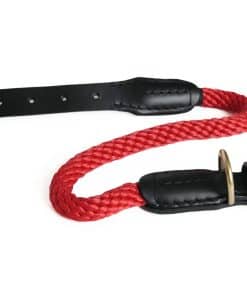 Collar de Perro de Cuerda y Cuero Alvalley con Hebilla -