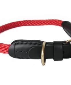Collar de cuerda y cuero Alvalley con hebilla para perros -