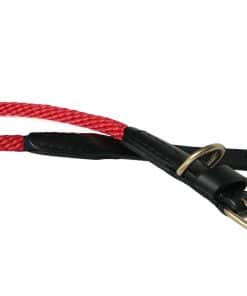 Collar de Perro de Cuerda y Cuero Alvalley con Hebilla -