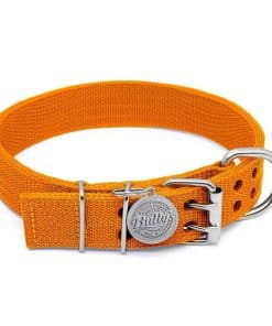 Collar de Pit Bull, Collar para Perros Grandes, Nylon