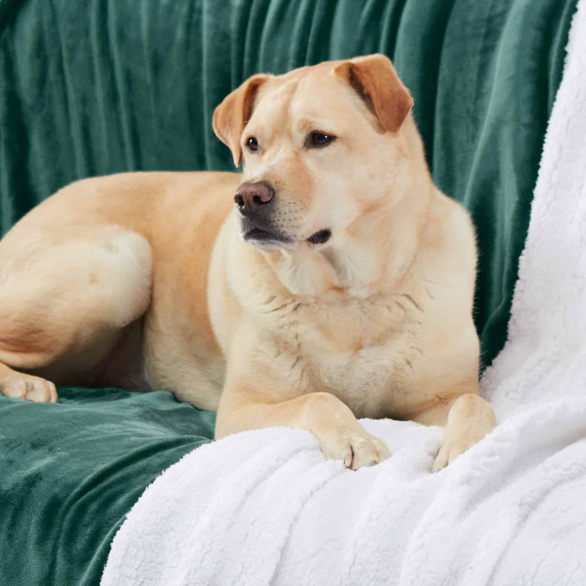 Manta de Lana Sherpa Genteele Súper Suave -Verde Cazador / B - Imagen 6