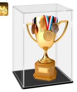 Estuche de exhibición de acrílico LANSCOERY, estuche de