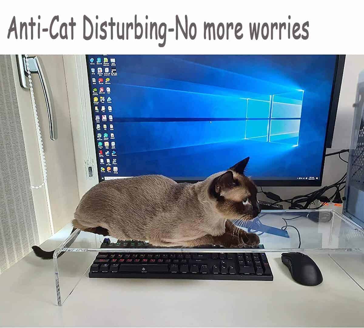 Cubierta Protectora de Teclado de Acrílico Transparente - Imagen 8