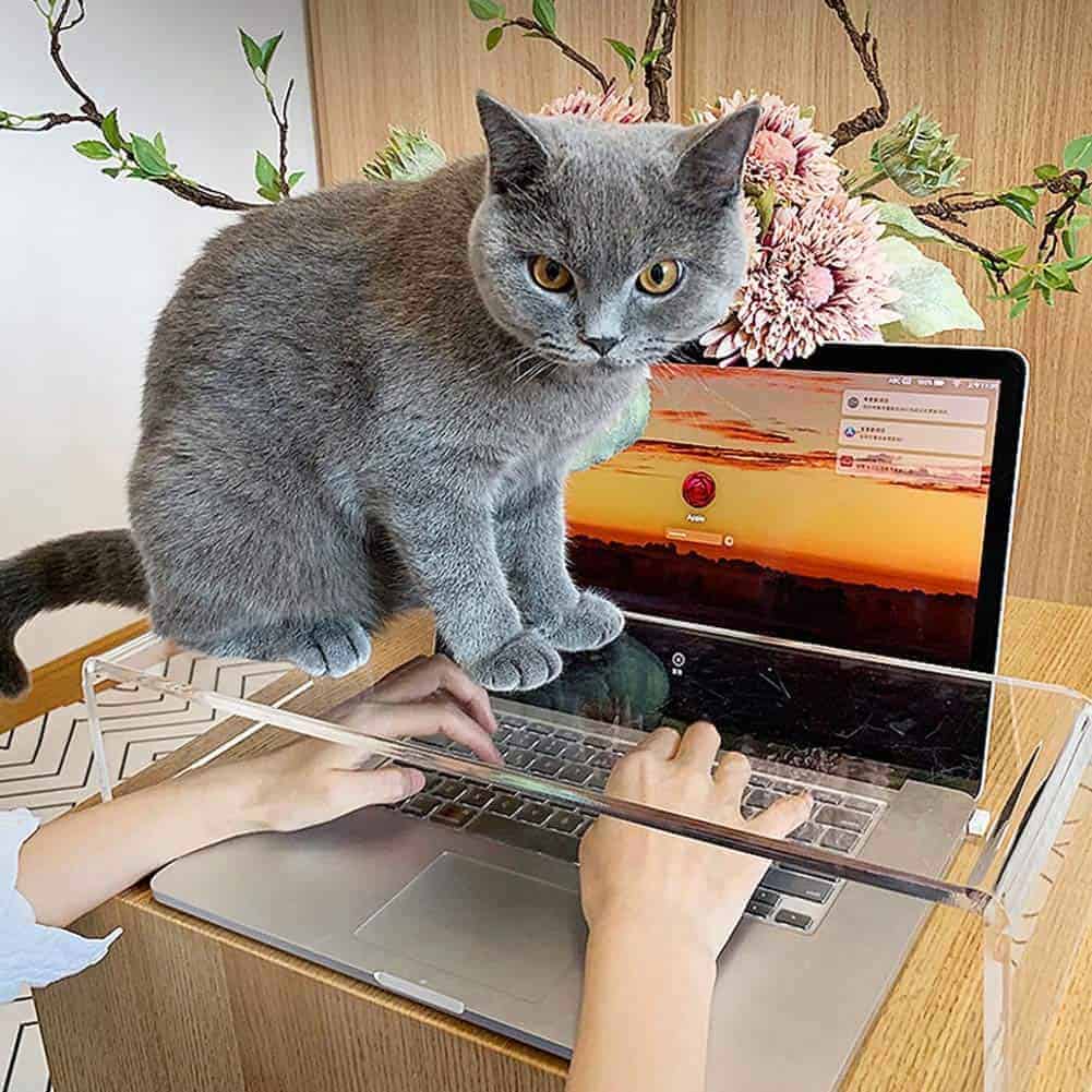 Cubierta Protectora de Teclado de Acrílico Transparente - Imagen 3