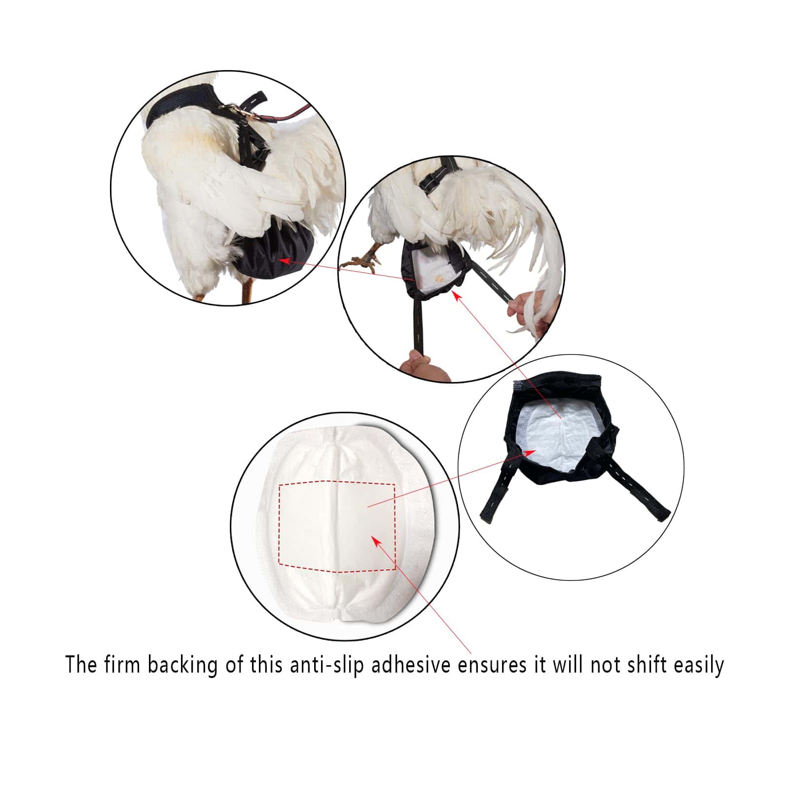 Pañales para Pollos Yesito, la Mejor Comodidad para Tus - Imagen 10