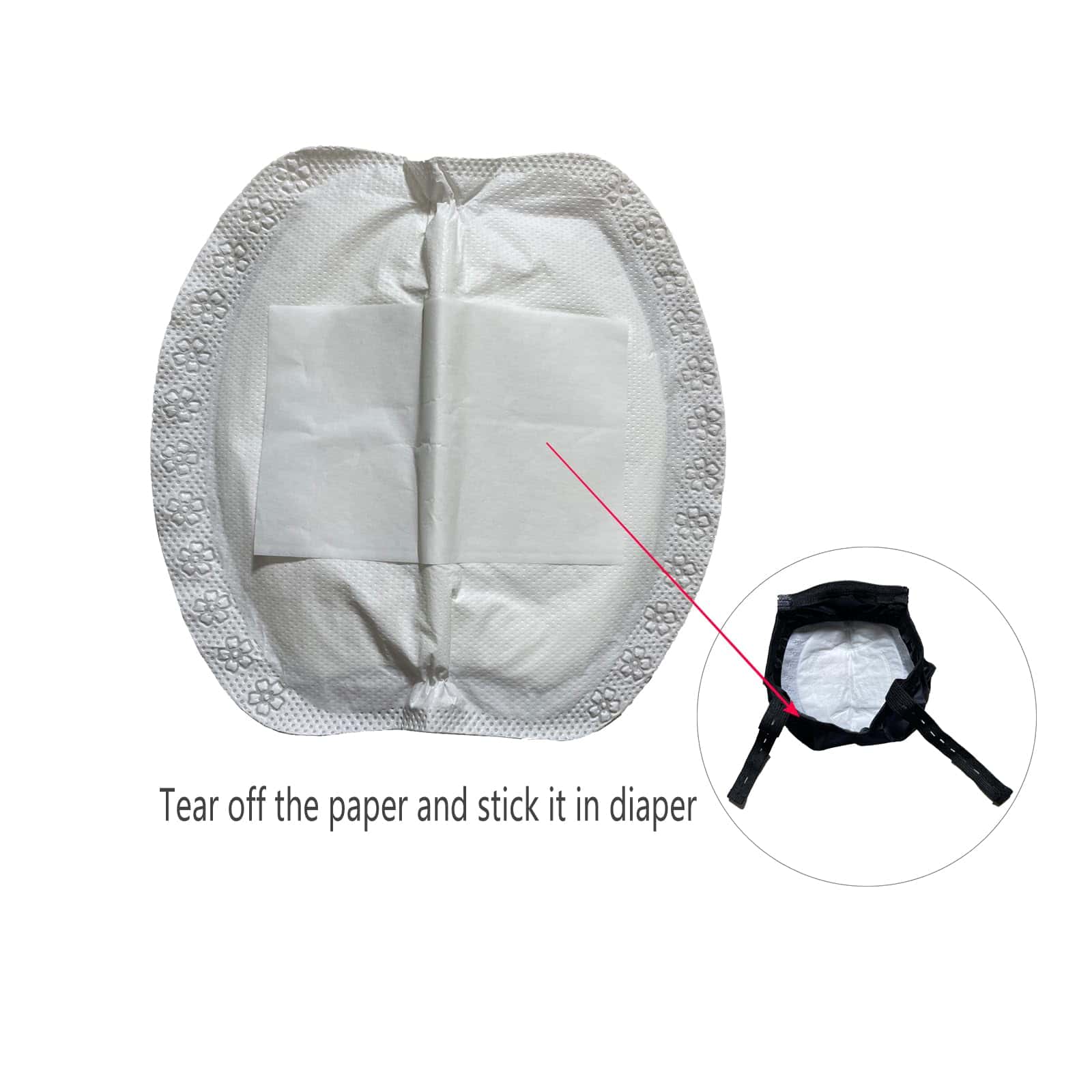 Pañales para Pollos Yesito, la Mejor Comodidad para Tus - Imagen 6