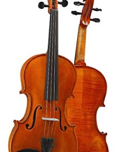 Violín D Z Strad Modelo 101 con Madera Maciza con Estuche,