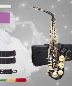 Kit de saxofón Glarry Student Alto Eb E-flat en Oro Lacado