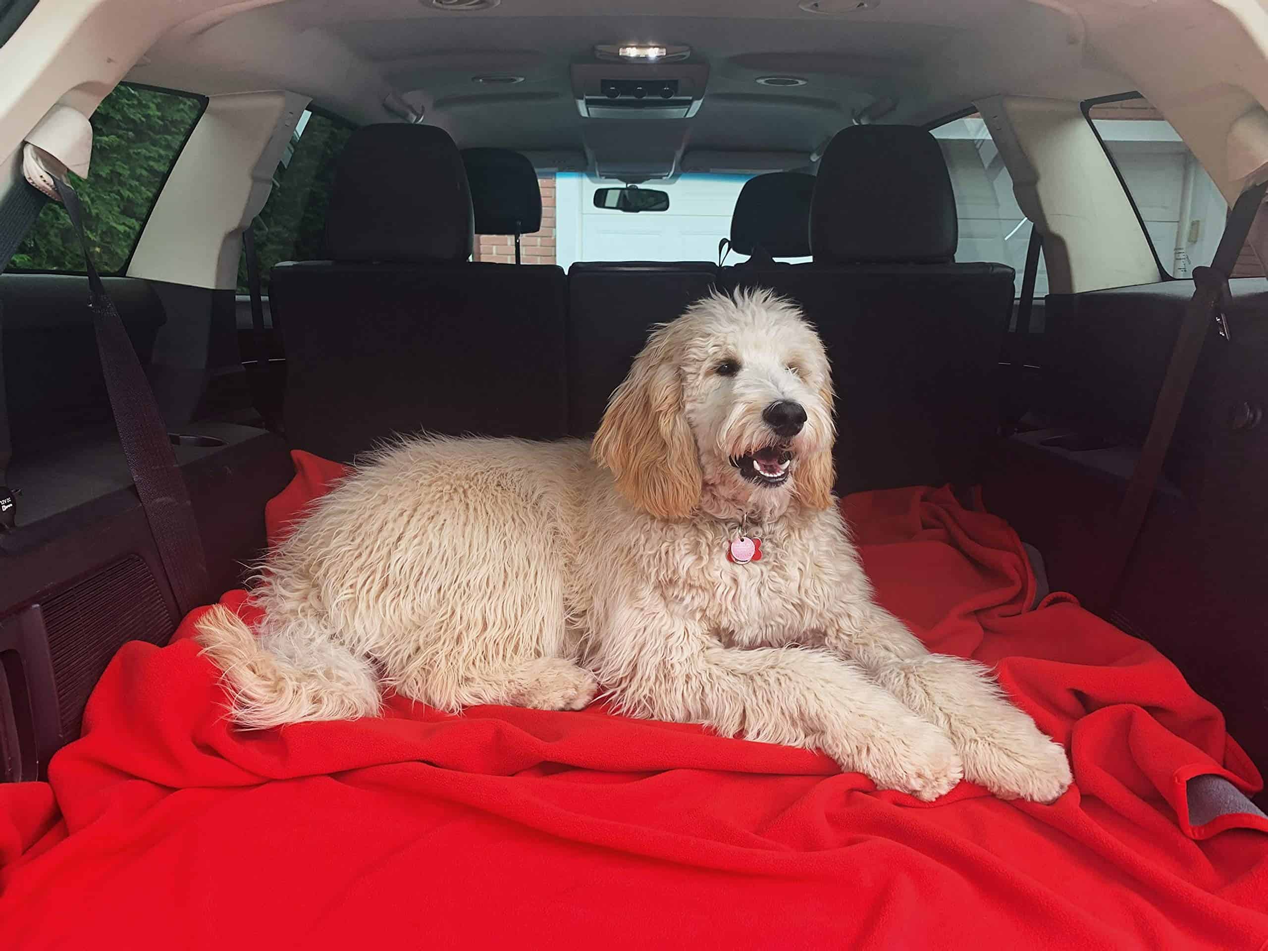 Manta Impermeable Roja/Gris 100% Protector de Muebles de - Imagen 5