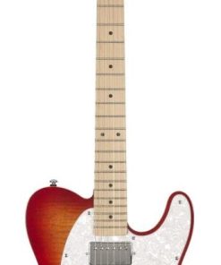 Guitarra eléctrica de cuerpo sólido de 6 cuerdas Michael