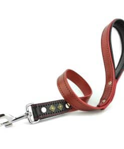 Correa para Perro con Tachuelas Rojas Bestia "Balteus''