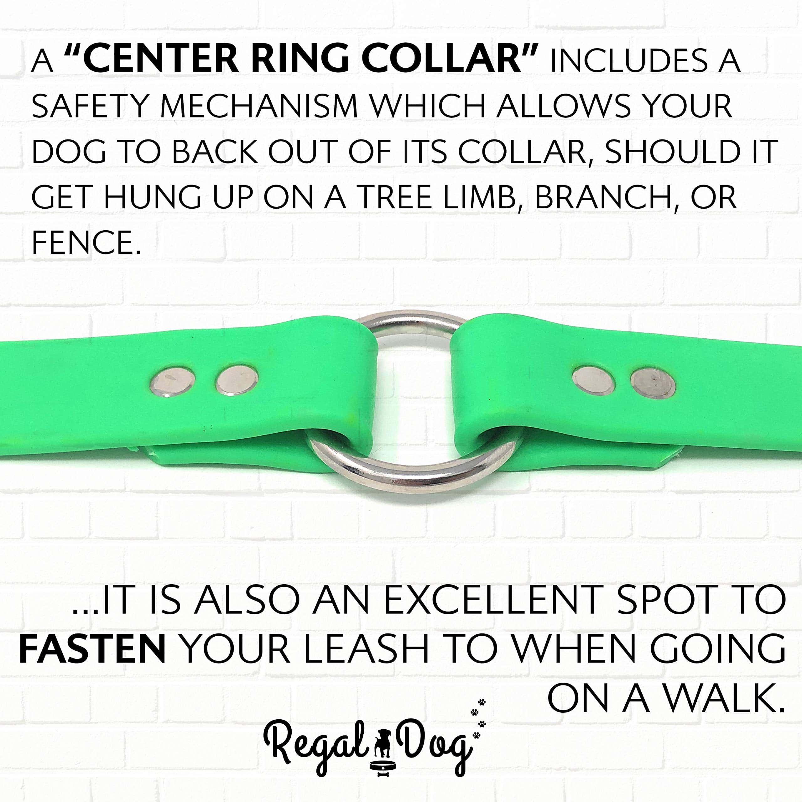 Collar para perro Regal Dog Products verde claro mediano - Imagen 8