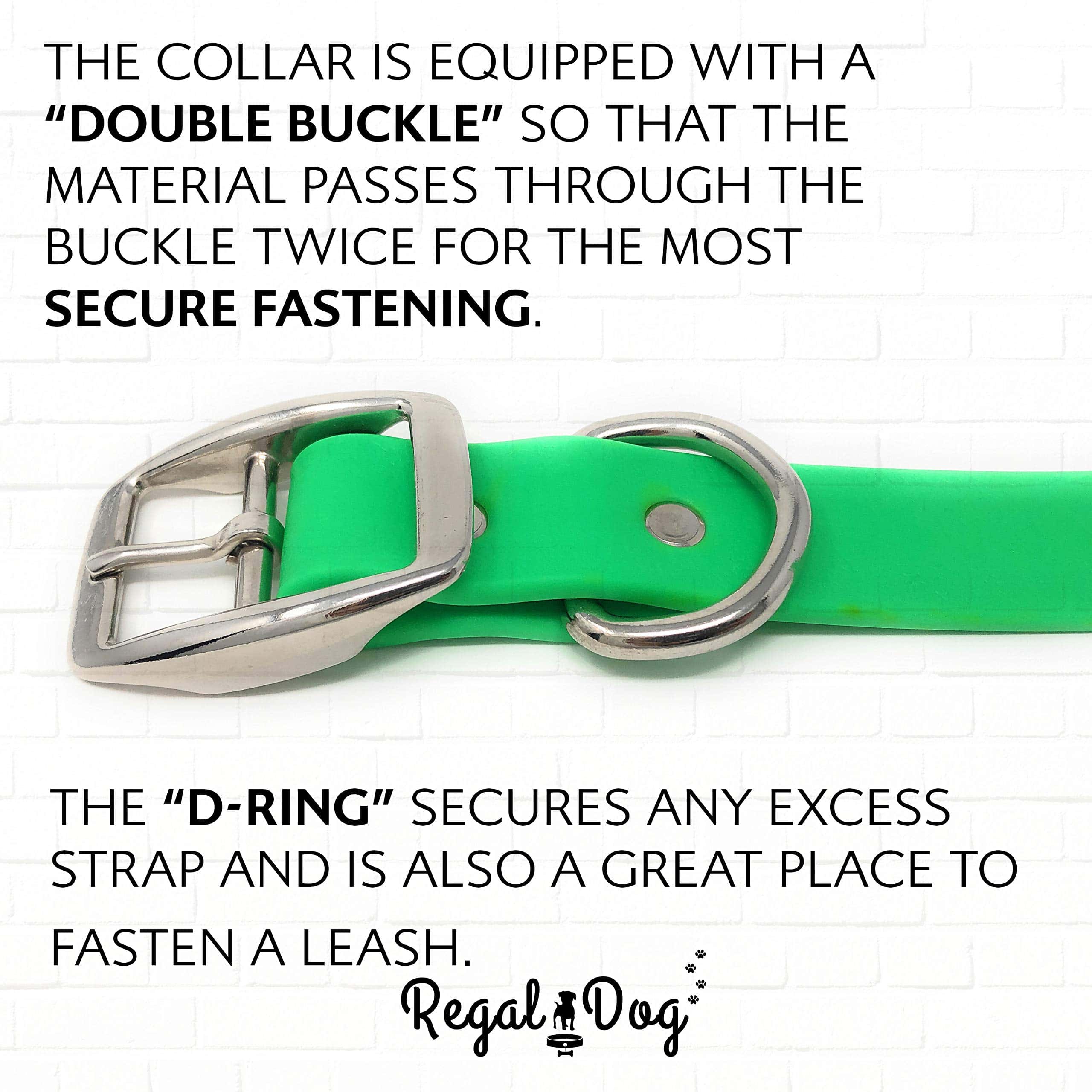 Collar para perro Regal Dog Products verde claro mediano - Imagen 6
