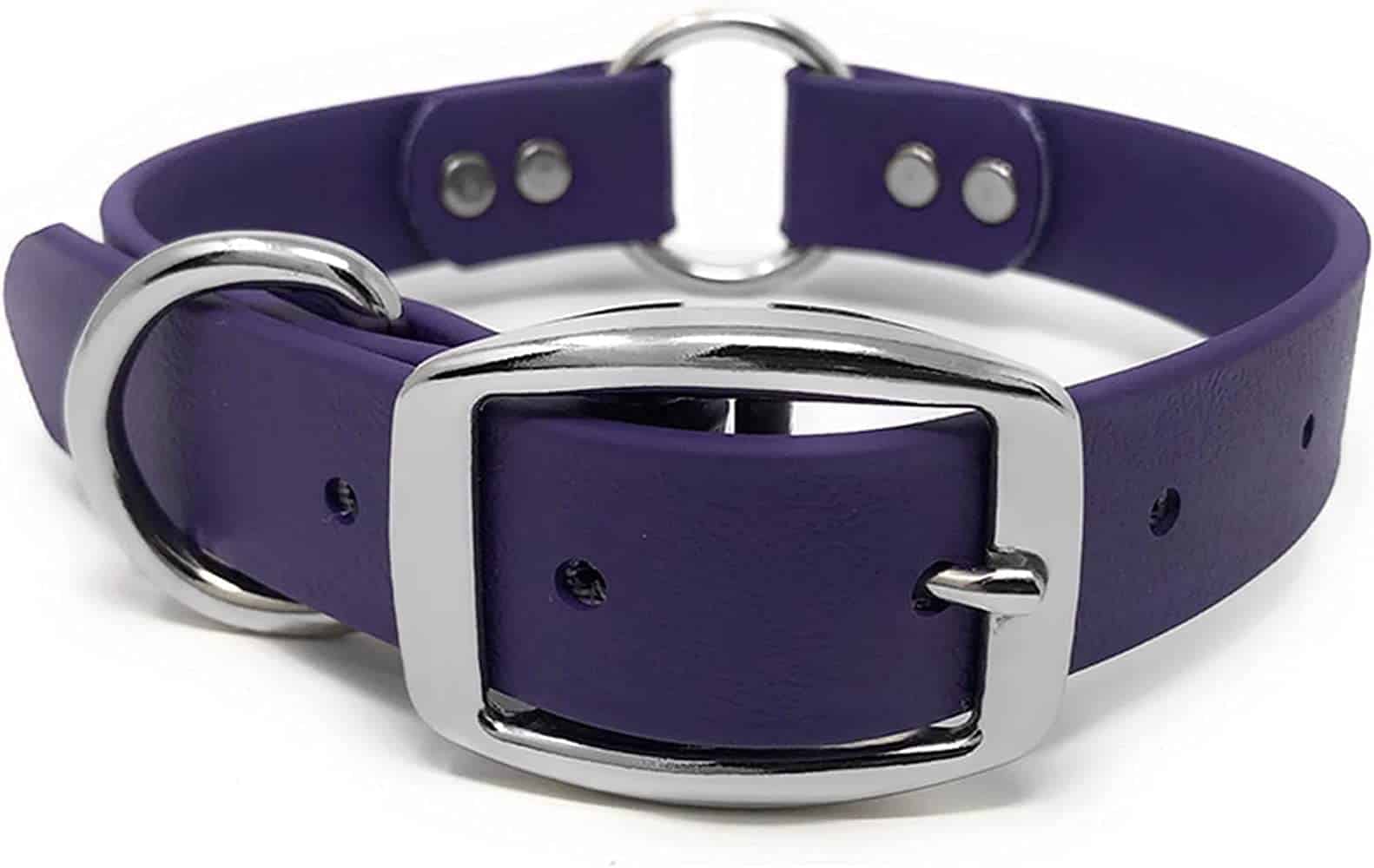 Collar de perro morado impermeable pequeño de Regal Dog