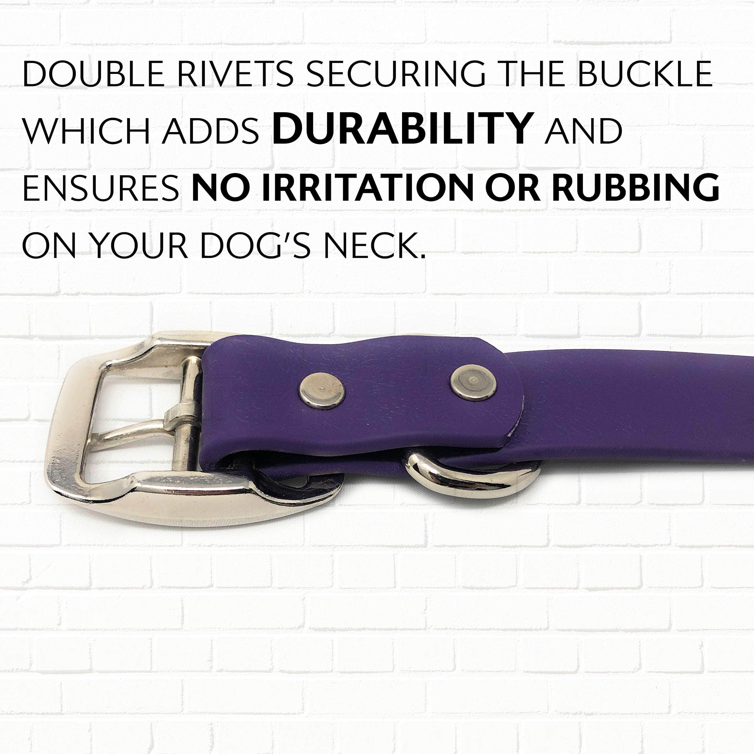 Collar de perro morado impermeable pequeño de Regal Dog - Imagen 7