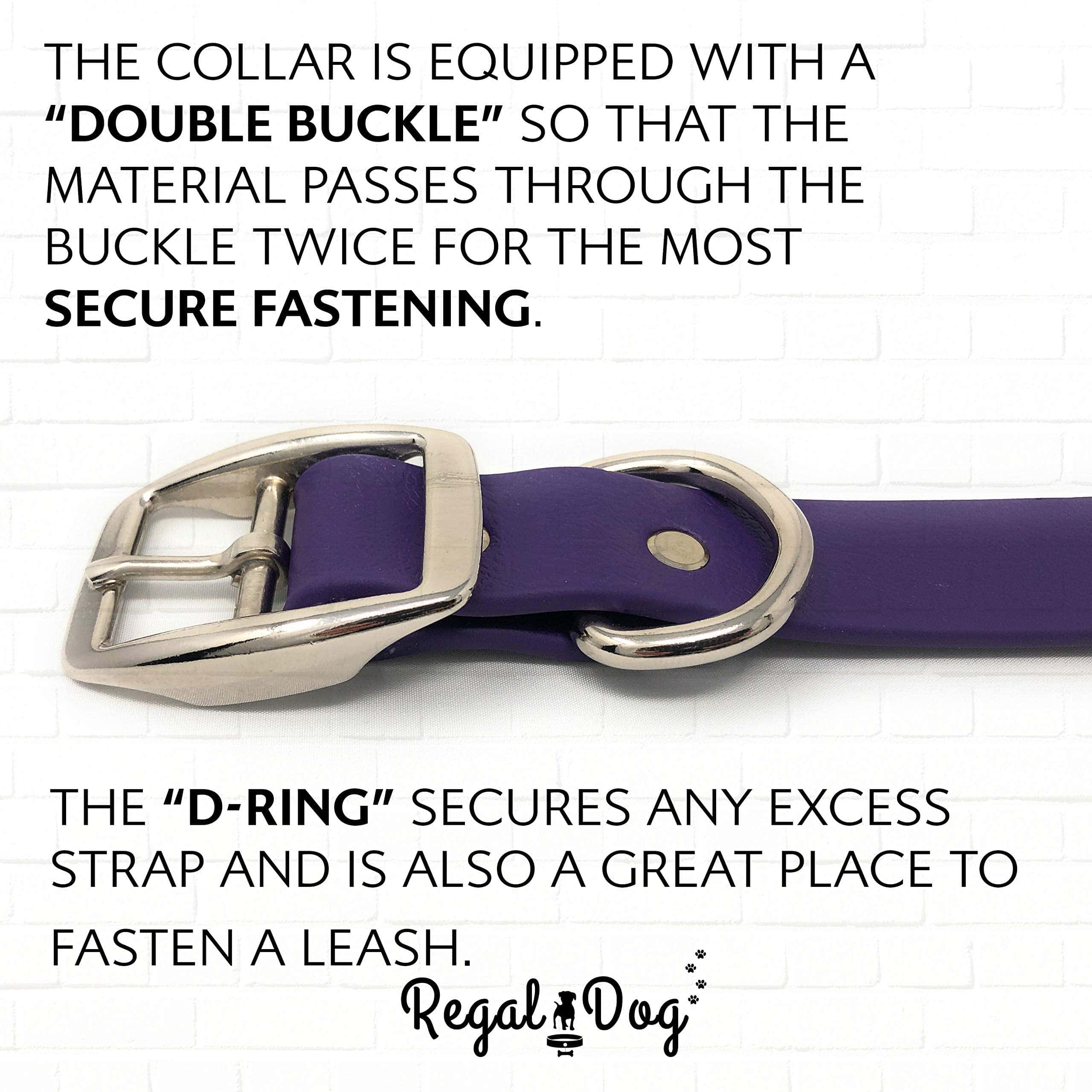 Collar de perro morado impermeable pequeño de Regal Dog - Imagen 6