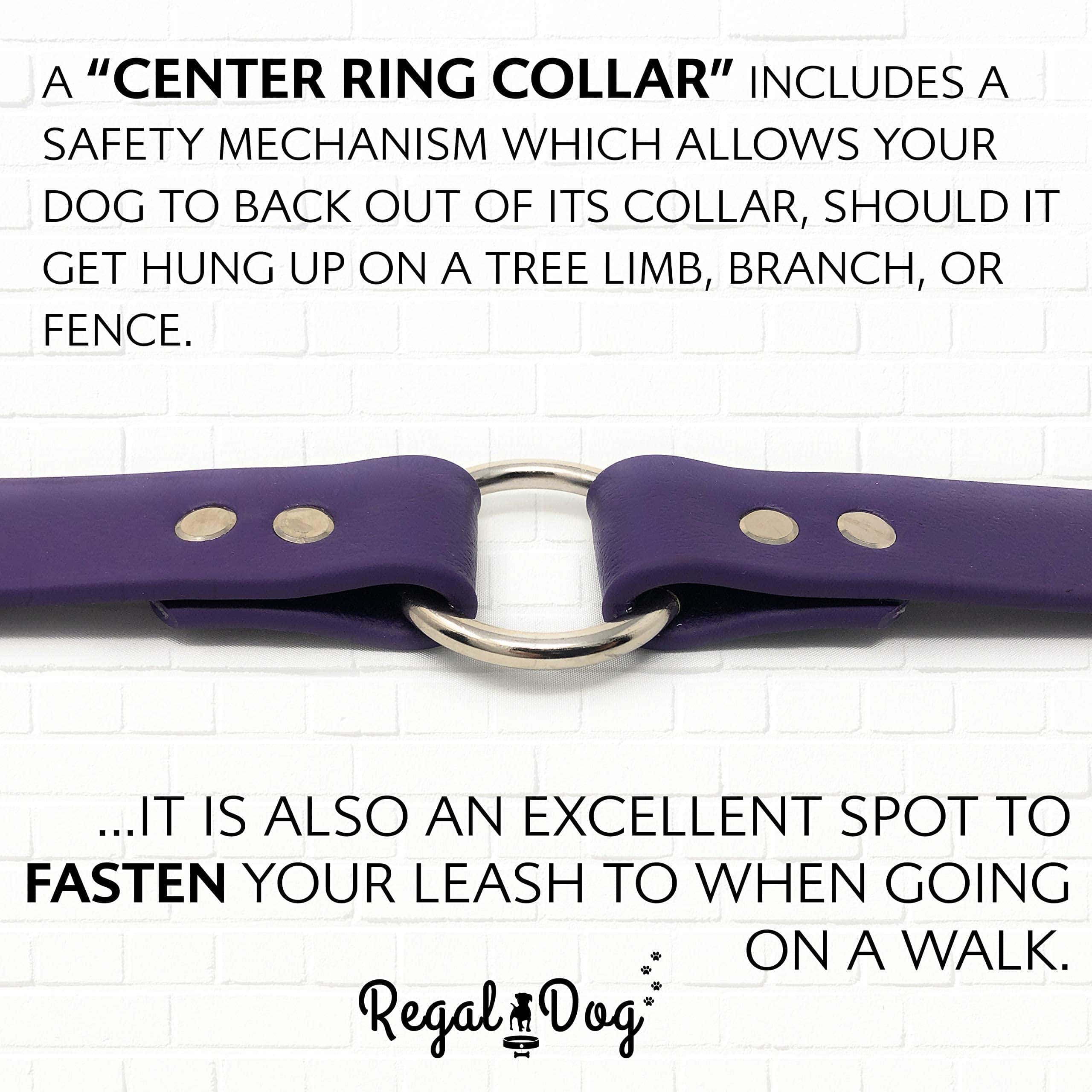 Collar de perro morado impermeable pequeño de Regal Dog - Imagen 8