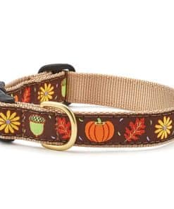 Collar para Perro Harvest Time de Up Country, Tamaño