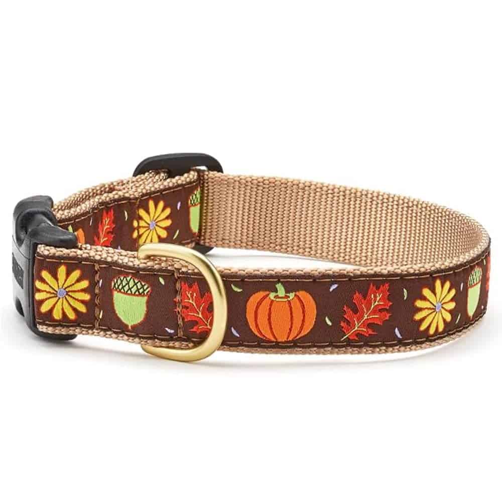 Collar para Perro Harvest Time de Up Country, Tamaño