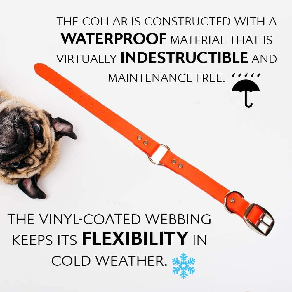 Conjunto de Collar y Correa para Perros Grande Naranja - Imagen 5
