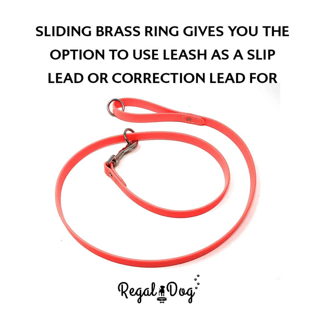 Conjunto de Collar y Correa para Perros Grande Naranja - Imagen 8