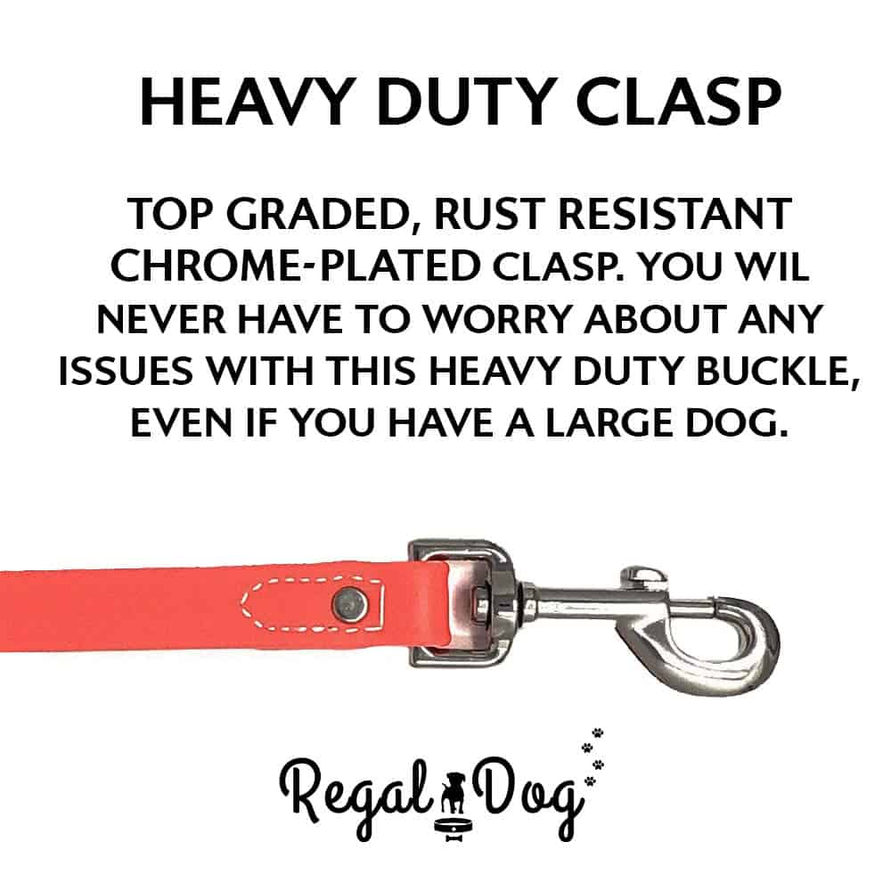 Conjunto de Collar y Correa para Perros Grande Naranja - Imagen 7