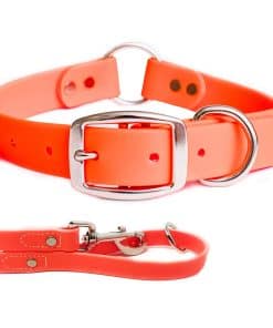Conjunto de Collar y Correa para Perros Grande Naranja