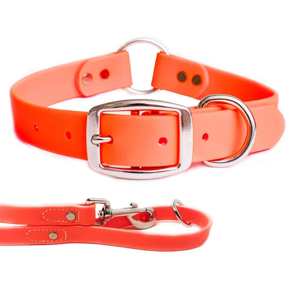 Conjunto de Collar y Correa para Perros Grande Naranja