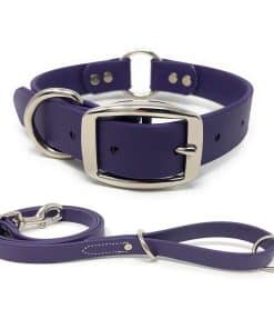 Conjunto de Collar y Correa Impermeable Morado Mediano para