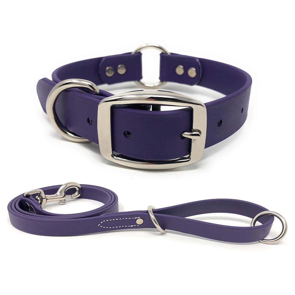 Conjunto de Collar y Correa Morados Impermeables para Perro